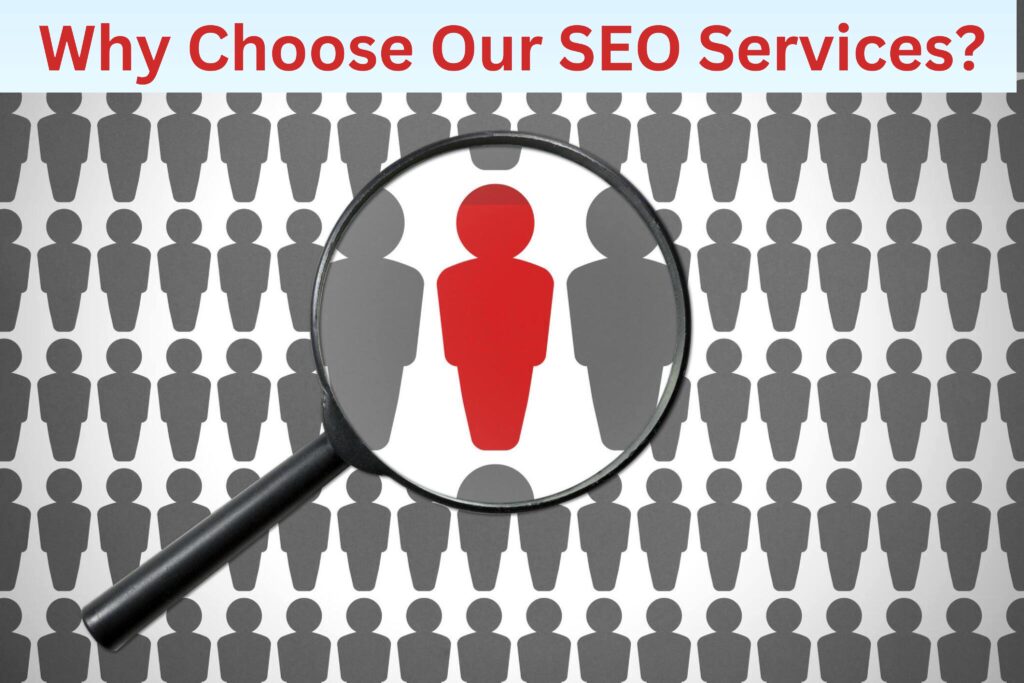 Why Choose Our SEO Services?